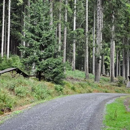 Sonnenberg Schloesschen 3* Браунлаге